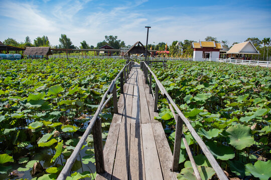 THAILAND NAKHON RATCHASIMA KHORAT WAT SAMAN MIT