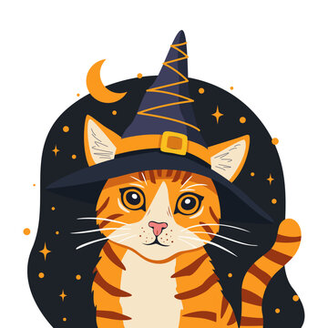 illustration of a red cat with a magic hat for Halloween, a cartoon character, an illustration for the design of festive themed goods