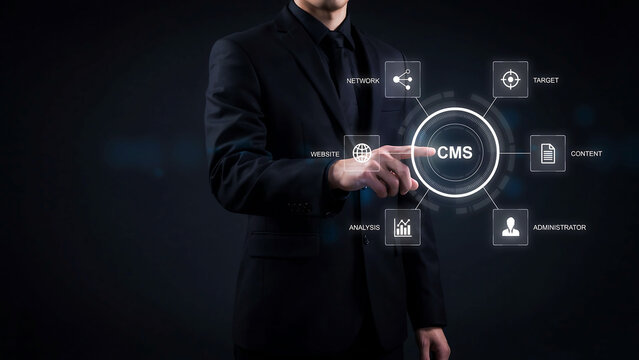 Businessman Touching CMS Content Management System Interface Software Concept