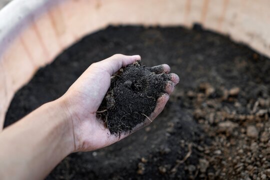 Hand holding rich organic compost soil over a planter for spring gardening
