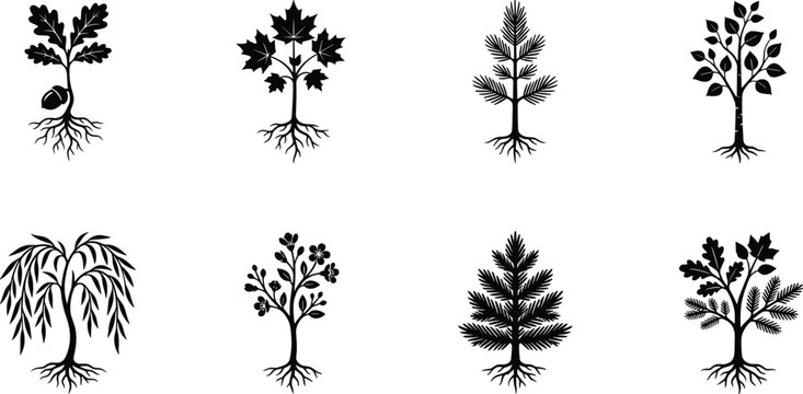 Black silhouette vector set of tree saplings with roots and leaves for botanical design