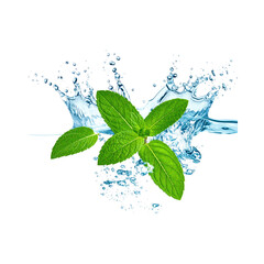 Fresh mint leaves splashing in clear water with dynamic droplets during a refreshing moment isolated on transparent background © Salma