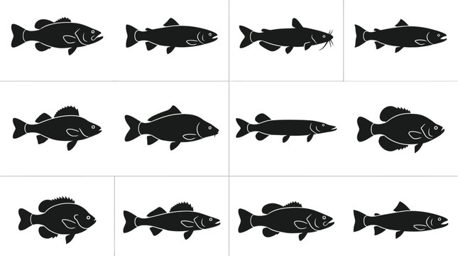 Collection of various freshwater fish silhouettes in black and white.