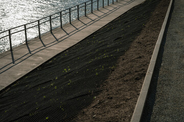 Obraz premium Erosion control mat on slope with budding plants by waterfront 