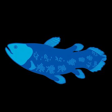 Blue coelacanth fish prehistoric marine animal vector illustration isolated on black background 