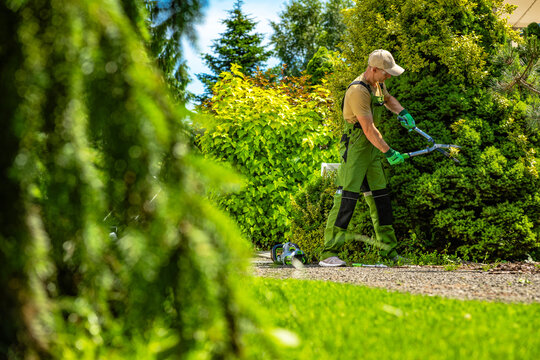 Man trims bushes in a garden on a sunny day
