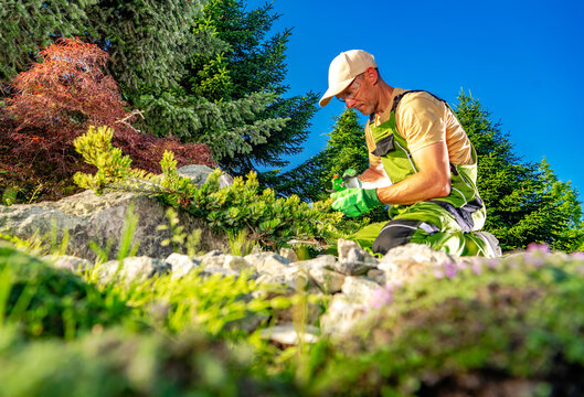 Gardener working in a bright green garden on a sunny day