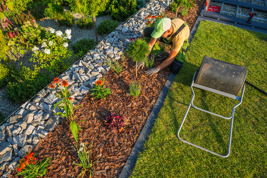 Gardener working in a flower bed during the afternoon at a home garden