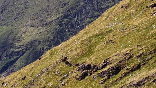 Mountain Landscape on the Iveragh Peninsula, County Kerry, Ireland