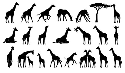 African Wild Giraffe Vector Set with Safari Animal Silhouettes Isolated on White © Sifat