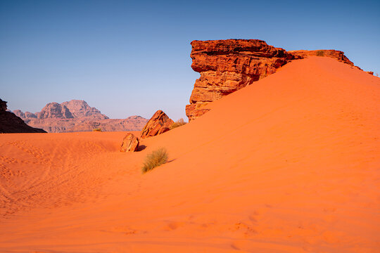 
Przejdź do strony
|12345...33Dalej
Sand dunes with rocks on hot day, beautiful natural landscape Wadi Rum desert, Jordan, wild terrain background.	
Przesłano 15 dni temu
