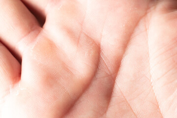 Fototapeta premium close up of human hand. Human palm and life lines close up, palmistry science, white man palm. Close-up of open human hand palm facing upward with visible life lines and natural skin texture 