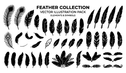 Elegant bird feather illustration set with decorative plume symbols minimalist logo elements and nature vector icons © Surjo