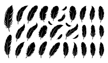 Elegant bird feather silhouette illustration set with black plumelets decorative quills and minimalist vector icons © Surjo