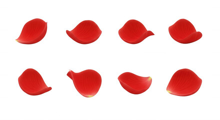 Fototapeta premium isolated red rose petals gracefully scattered on a clean white background floral design wedding or valentines day projects