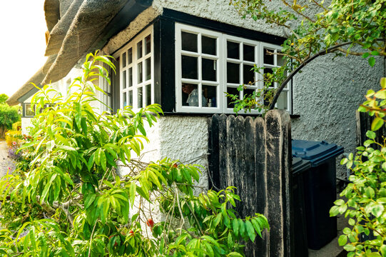 Unusual view of a typical old English cottage seen from the street. Showing is lattice wooden windows and nearby side gate. The front garden contains lush bushes and wild flowers.