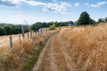 Fototapeta premium cotswold way