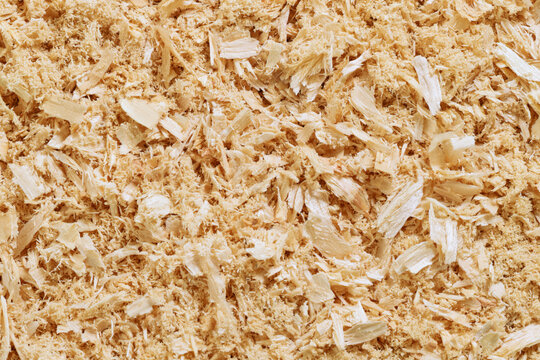 Coarse wooden shavings and sawdust texture close up