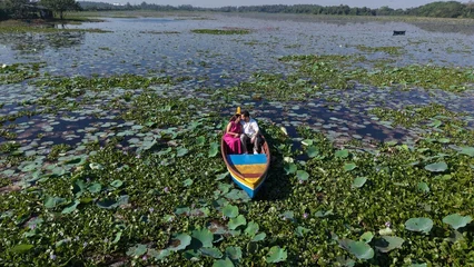 Fotobehang Lotusbloem Aerial drone view of a couple enjoying a colorful boat ride across a scenic lake covered with lotus leaves and aquatic plants, surrounded by lush greenery.  © Vishal