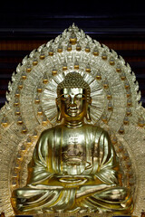 Obraz premium Bai Dinh Pagoda. Golden statue of Shakyamuni Buddha, in meditation, hands in dhyana mudra, guardian of present enlightenment. Bai Dinh. Vietnam.