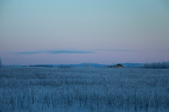 Pink winter sky in Alaska