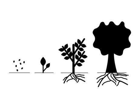 Silhouette of a Tree Growing Step By Step