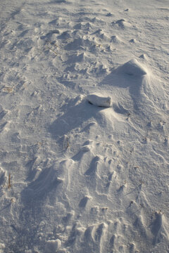 Snow on sunny day in Alaska