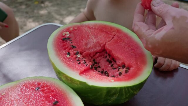 A fresh sliced watermelon sits on a table during a sunny outdoor family picnic. A person holds a juicy red slice of the refreshing fruit as a toddler waits in the background.