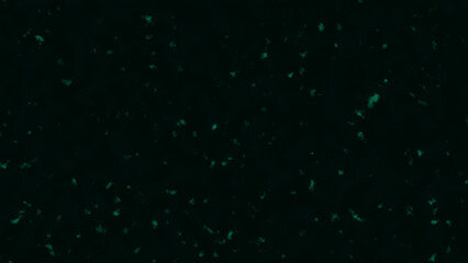 Fototapeta premium Abstract dark green texture with light particles. Glowing dust overlay on black background.
