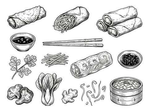 Spring roll sketch set with chinese ingredients and chopstick, black ink vector illustration isolated on white background
