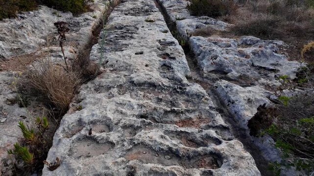 Ancient Cart Ruts on Xemxija heritage trail, parallel cartways groves cut into bare rock.
