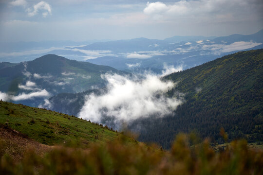 Scenic View of the Svydovets Ridge with Green Slopes and Remaining Snow in the Ukrainian Carpathians. Early summer in Carpathian Mountains, Ukraine