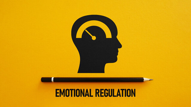 Emotional Regulation Emotional Intelligence Self Awareness Stress Management Self Control Emotional Resilience Mindfulness Mental Wellbeing Coping Skills Personal Growth