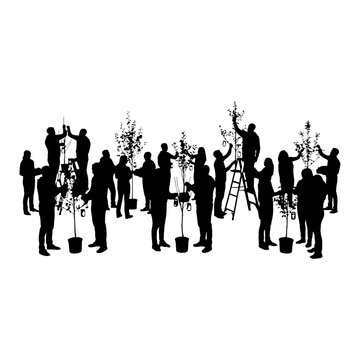 Group of musicians playing brass instruments together isolated on transparent background, Vector