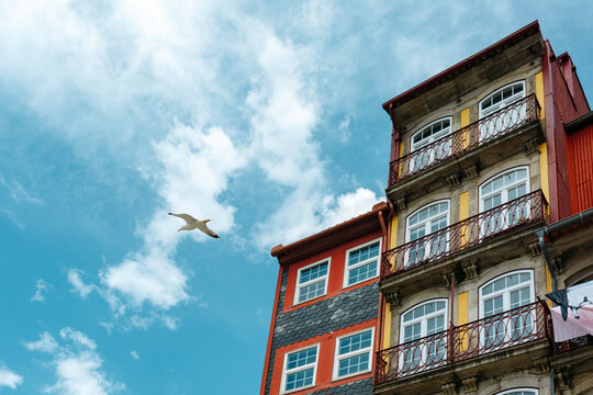 Colorful Historic Building Facades with Seagull Flying Over Porto Portugal