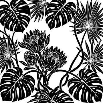 Tropical botanical seamless pattern with black monstera leaves and protea flowers isolated on a solid white background, for surface