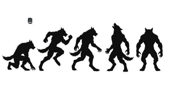 Silhouettes of werewolves in different poses, showcasing creeping, running, standing, and howling stances isolated on white background