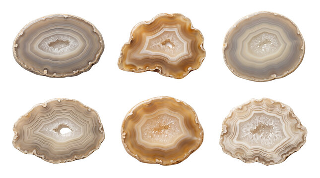 Polished agate slice collection for luxury branding, jewelry displays, wedding stationery and natural decor. Isolated on White background.