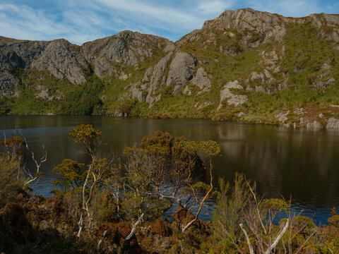 Alpine shrubs near the lake in Tasmania, Australia 