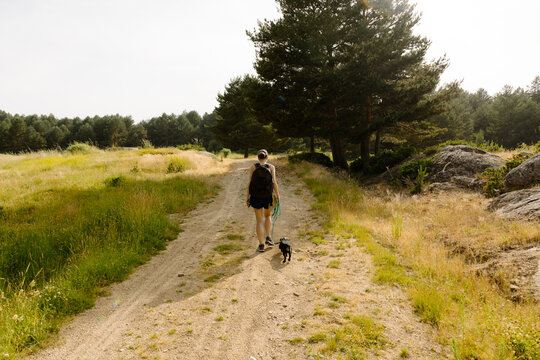 Woman walking her dachshund along a trail in the middle of a field