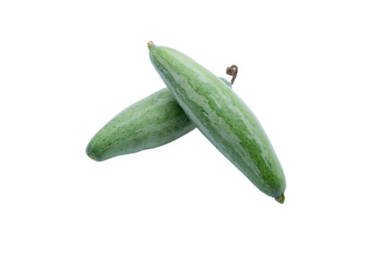 Fresh pointed gourd isolated on transparent background