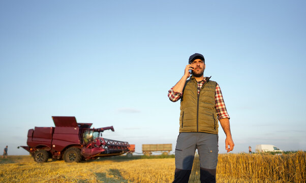 Phone Call During Harvest
