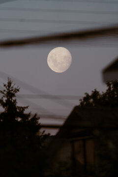 Full Moon Over Rooftops