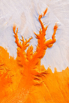 Abstract Salt Lake Patterns