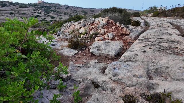 Ancient Cart Ruts on Xemxija heritage trail, parallel cartways groves cut into bare rock