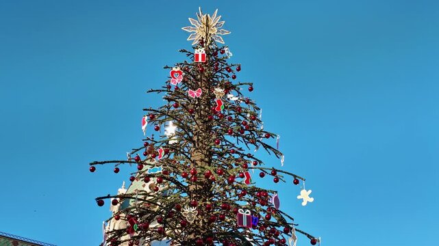 Large decorated christmas tree with red baubles and star topper stands under clear blue sky.