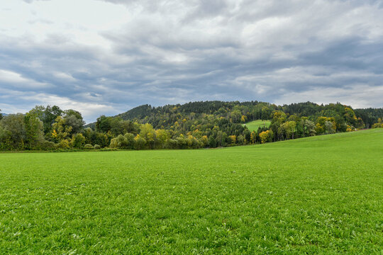 green field and blue sky