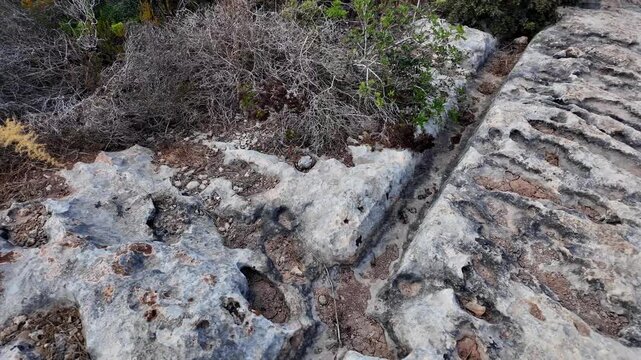 Ancient Cart Ruts on Xemxija heritage trail, parallel cartways groves cut into bare rock.