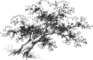 Fototapeta premium Black and white sketch of a leaning tree with branches and leaves in ink drawing