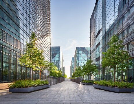 urban pedestrian walkway separates two rows of tall glass office buildings lined with small growing trees